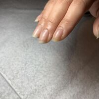 画像1266