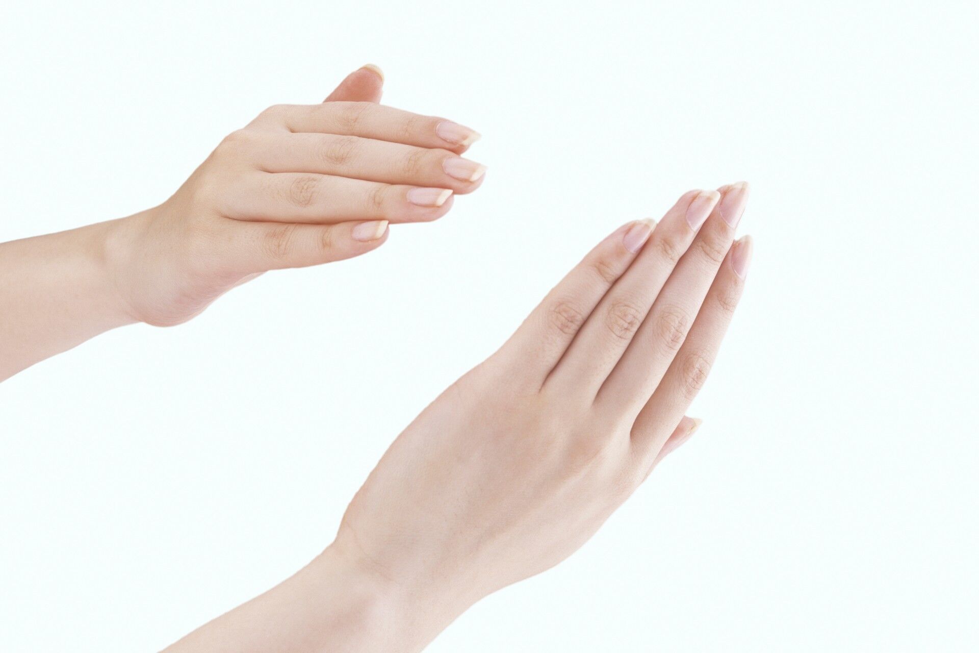 gf1420249821l